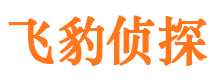 察布查尔侦探